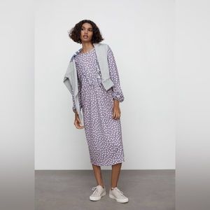 Womens Zara polka dot purple dress with Ruffles, sz Medium